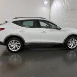 Cupra Formentor 2.0 TDI 4Drive DSG