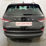 Skoda Kodiaq 2.0 TDI Ambition 4x4 DSG