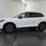 VW Tiguan 2.0 TDI SCR Goal DSG