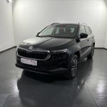Skoda Karoq 2.0 TDI Tour 4x4 DSG