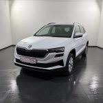 Skoda Karoq 2.0 TDI Tour 4x4 DSG