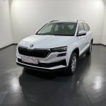 Skoda Karoq 2.0 TDI Tour 4x4 DSG
