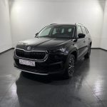 Skoda Kodiaq 2.0 TDI Tour 4x4 DSG