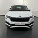 Skoda Kodiaq 2.0 TDI Ambition 4x4 DSG