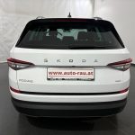 Skoda Kodiaq 2.0 TDI Ambition 4x4 DSG