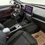 Cupra Formentor 2.0 TDI DSG