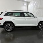 Skoda Kodiaq 2.0 TDI Tour 4x4 DSG