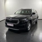 Skoda Kodiaq 2.0 TDI Ambition 4x4 DSG