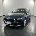 Skoda Octavia Scout 2.0 TDI 4x4 DSG